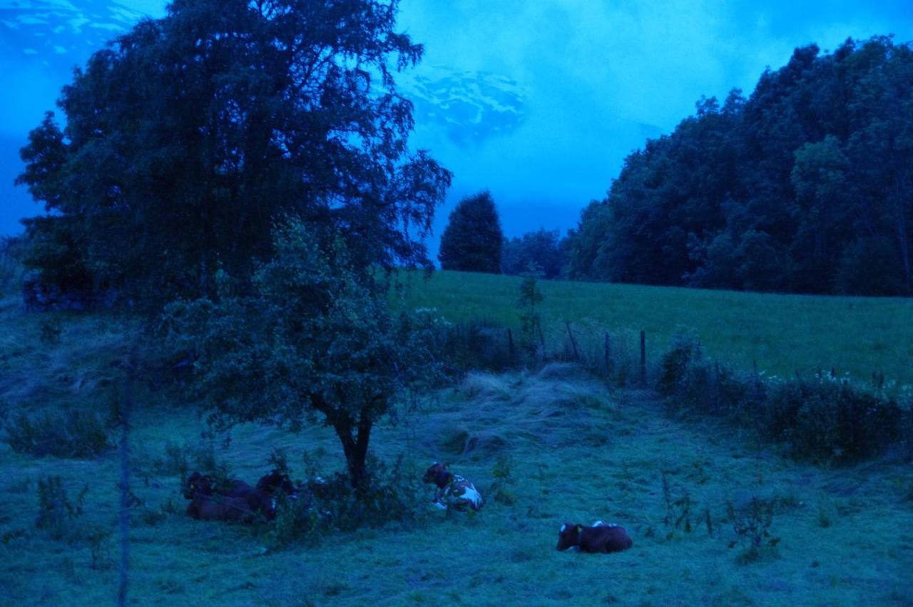 Orheimstunet - Gardsferie For Storfamilien Der Ogsa Hunden Er Velkommen Starheim Экстерьер фото
